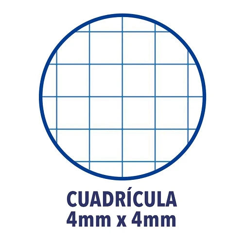 Pack 10 Libretas Azul Pastel - Cuadernos de Papelería
